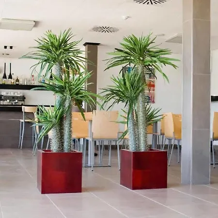 Hotel Playa Grande